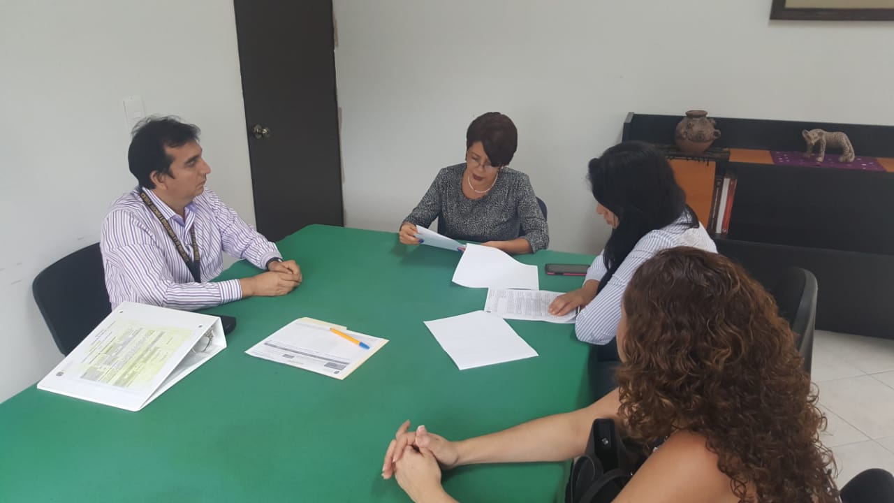 Evidencia de verificación del ejercicio 2019
