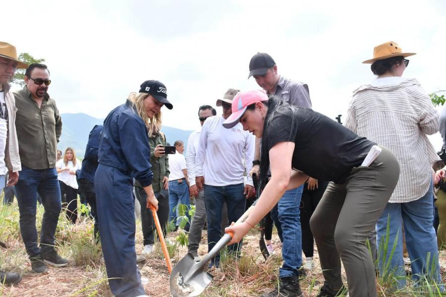 Chiapas se suma a la Jornada Nacional de Reforestación